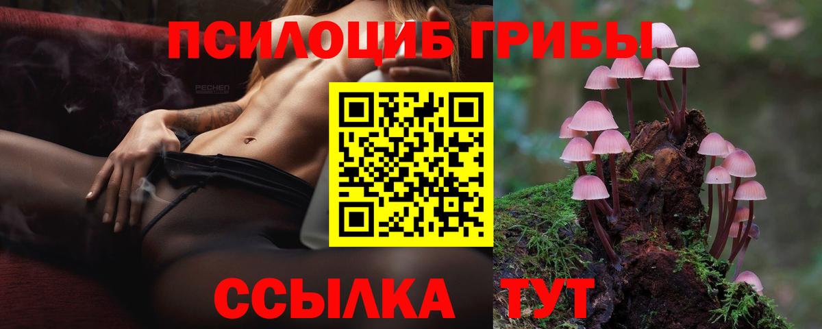 продажа наркотиков  Псилоцибиновые грибы ЛСД  Вход с VPN  Полевской  Галлюциногенные грибы мухоморы 
